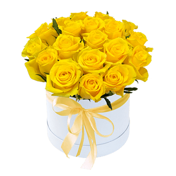 Gelbe Rosen in einer Box
