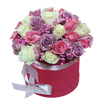 Box mit den vielfarbigen Rosen