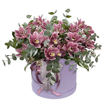 Box mit Orchideen