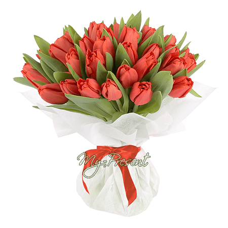 Blumenstrauß aus roten Tulpen
