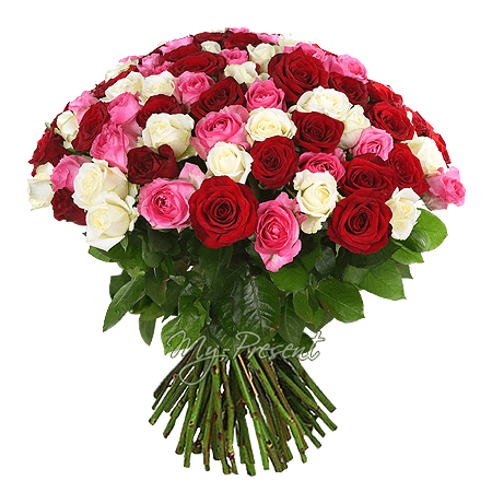 Blumenstrauß aus den vielfarbigen Rosen (50 cm.)