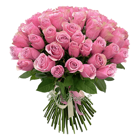 Blumenstrauß aus rosigen Rosen (50 cm.)